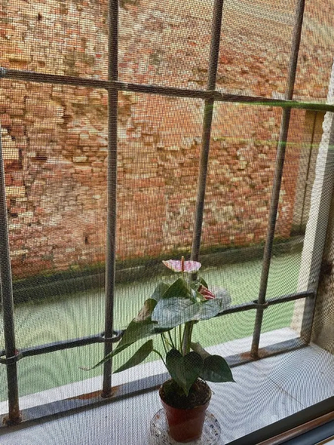 Hayez Rooms Venice 0*,  Italy